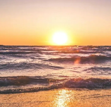 测试组专用's avatar